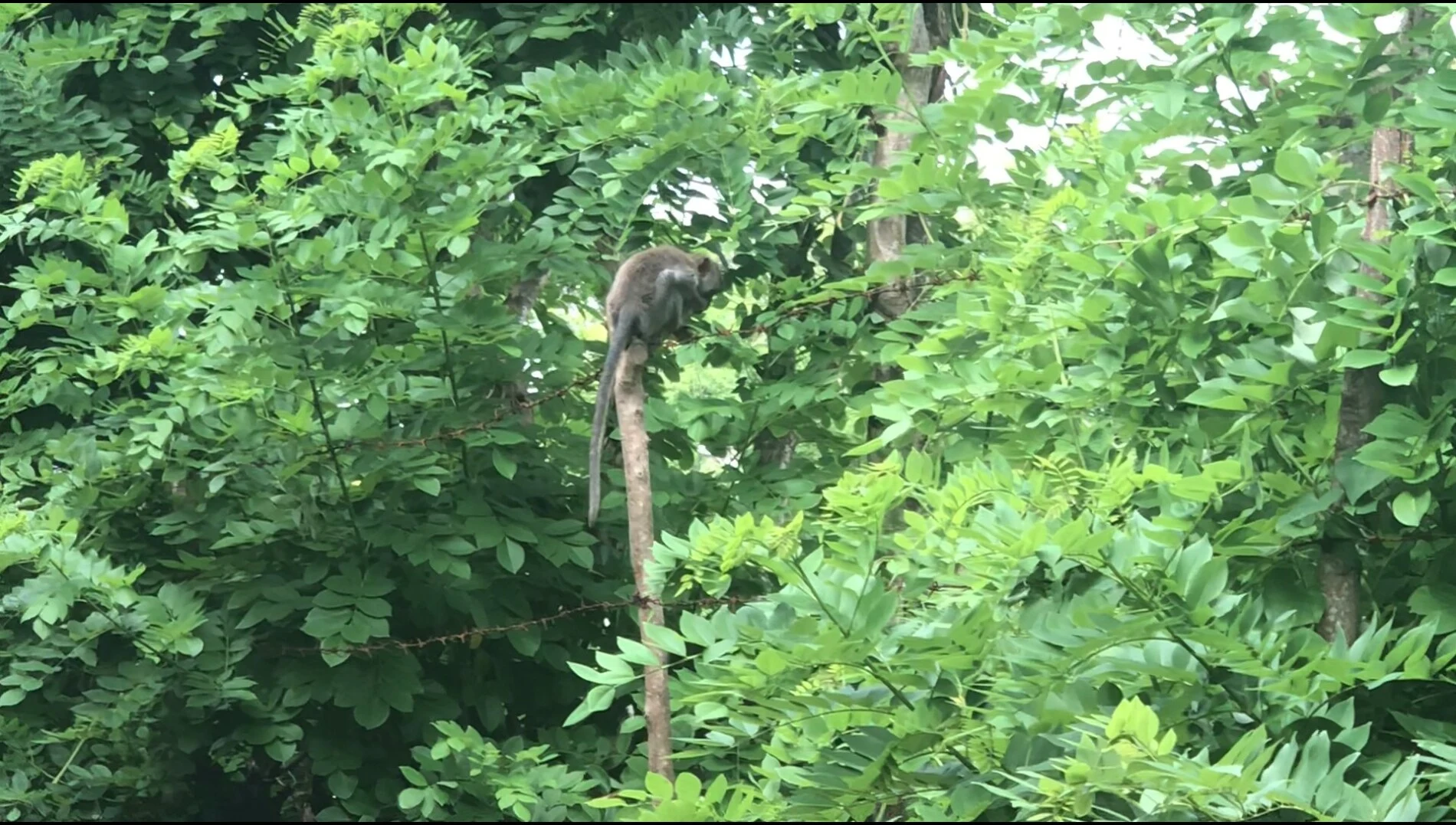 2018-Bali Island-Bali eiland-巴厘岛